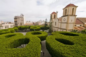 almoradi (1) almoradi (1)